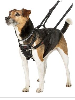 HaltI no pull harness S NEW